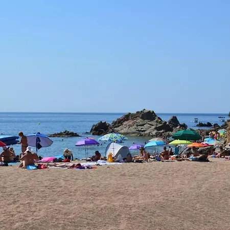 Apartamento- Estudio Aloe Apartment Lloret de Mar